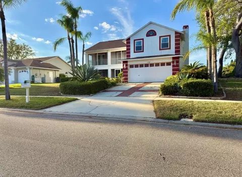 1702 Sunkissed Dr, Tarpon Springs, FL 34689