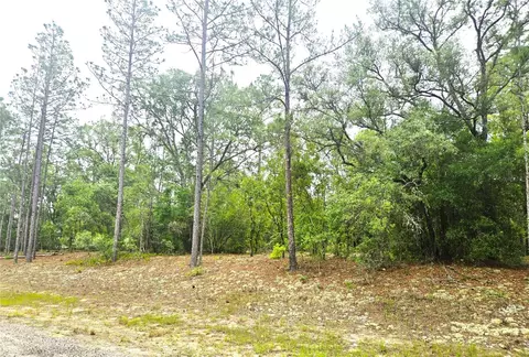 576 E Nemo Dr, Dunnellon, FL 34434 photo 6