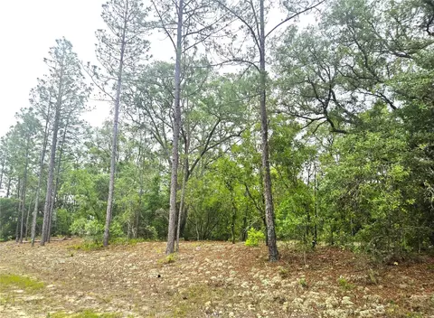 576 E Nemo Dr, Dunnellon, FL 34434 photo 4