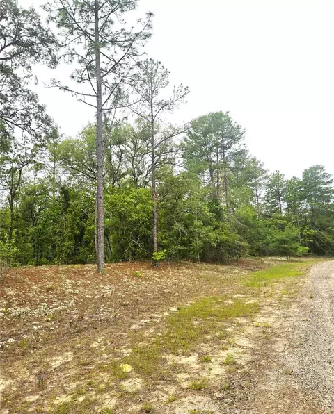 576 E Nemo Dr, Dunnellon, FL 34434 photo 3