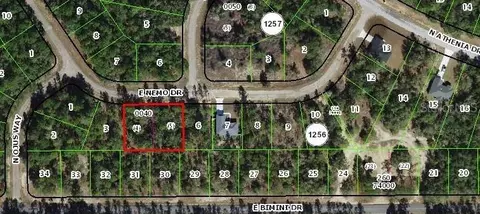 576 E Nemo Dr, Dunnellon, FL 34434 photo 7