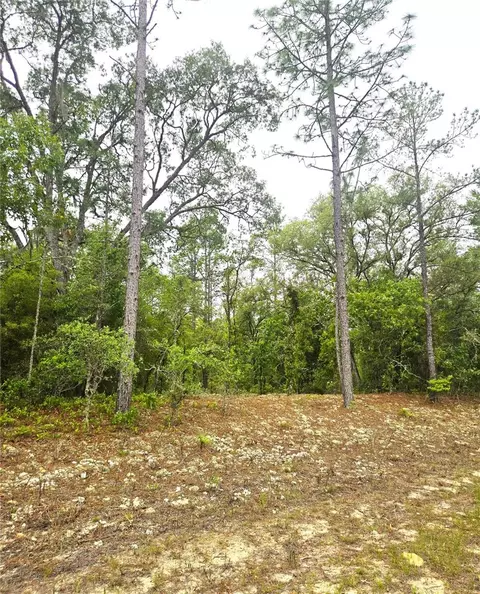 576 E Nemo Dr, Dunnellon, FL 34434 photo 2