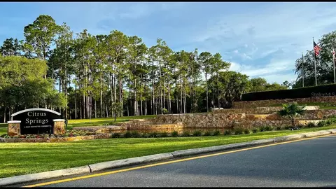 576 E Nemo Dr, Dunnellon, FL 34434 photo 8