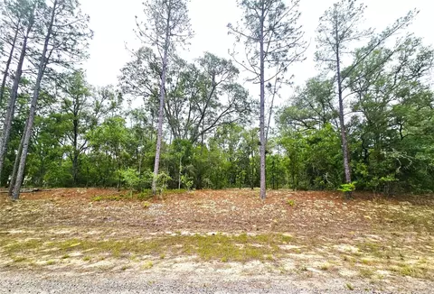 576 E Nemo Dr, Dunnellon, FL 34434