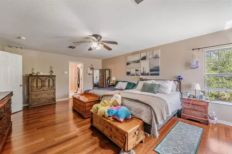 Bedroom - 10945 Subtle Trail Dr, Riverview, FL 33569 photo 5 of 7