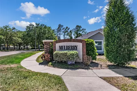 Other - 10945 Subtle Trail Dr, Riverview, FL 33569 photo 9 of 10