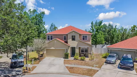 View/Area - 10945 Subtle Trail Dr, Riverview, FL 33569 photo 2 of 9