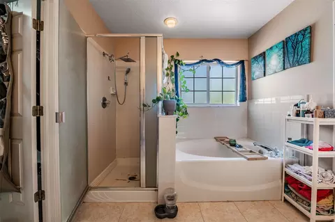 Bath - 10945 Subtle Trail Dr, Riverview, FL 33569 photo 4 of 4