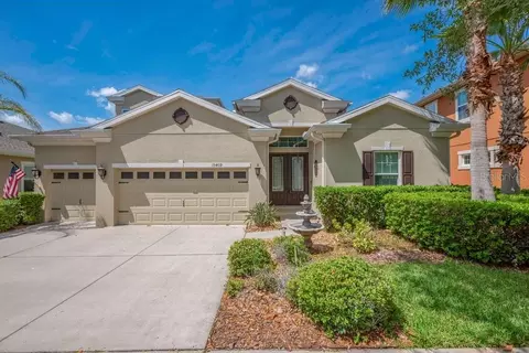 15409 Starling Crossing Dr, Lithia, FL 33547