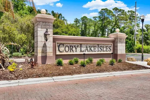 View/Area - 18019 Java Isle Dr, Tampa, FL 33647 photo 6 of 9