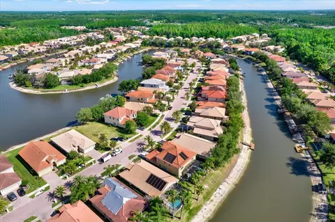 View/Area - 18019 Java Isle Dr, Tampa, FL 33647 photo 4 of 9