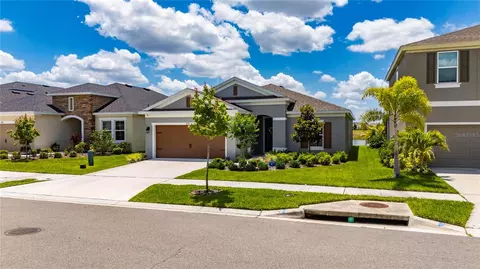 6081 Hidden Branch Dr, Apollo Beach, FL 33572