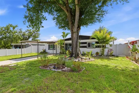 6206 N Hale Ave, Tampa, FL 33614