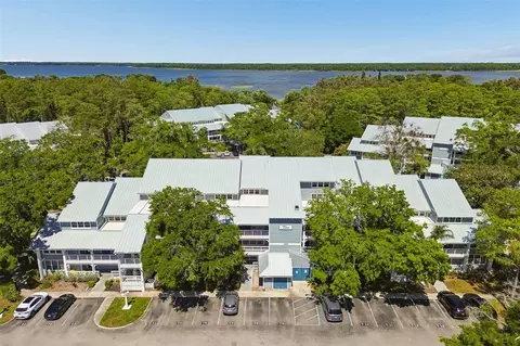 2599 Dolly Bay Dr #302, Palm Harbor, FL 34684