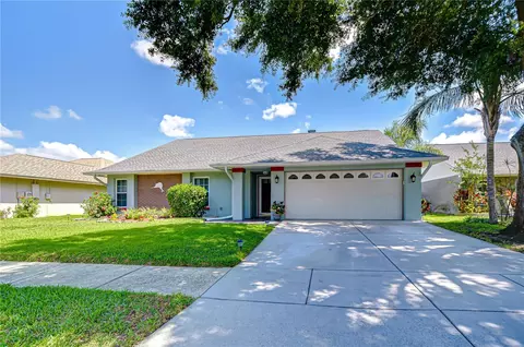 1428 Shell Flower Dr, Brandon, FL 33511