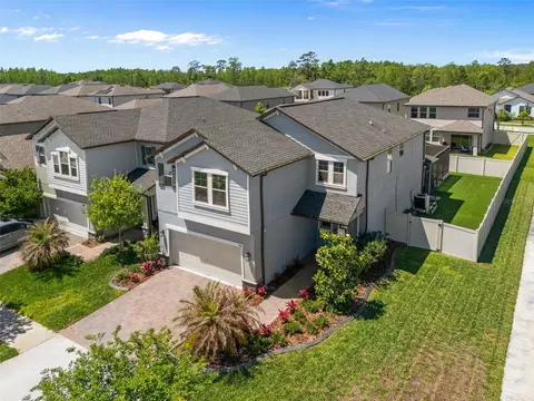 9707 Wild Begonia Loop, Land O Lakes, FL 34637