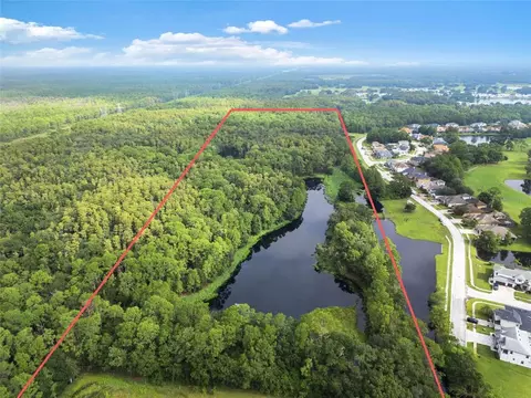 Unplatted, Odessa, FL 33556