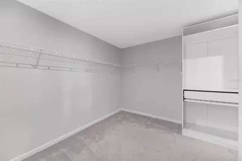 Other - 12349 Blue Pacific Dr, Riverview, FL 33579 photo 10 of 15