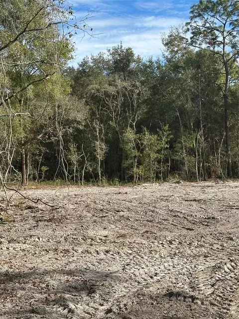 Berryhill Drive, Webster, FL 33597 photo 4