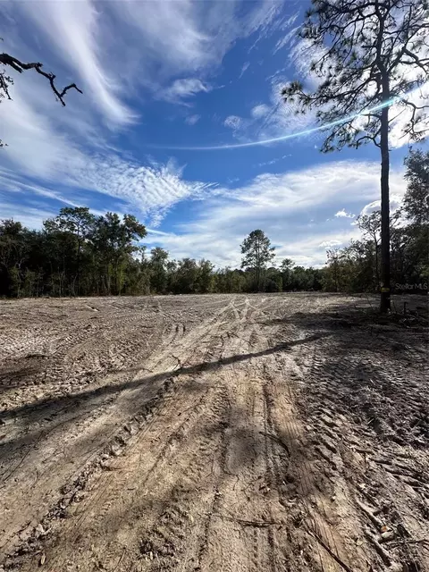 Berryhill Drive, Webster, FL 33597 photo 5