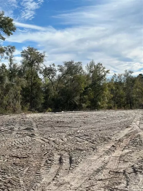 Berryhill Drive, Webster, FL 33597 photo 3