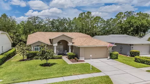 1237 Almondwood Dr, Trinity, FL 34655