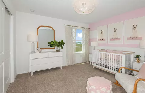 Bedroom - 9911 Trellis Vine Way, Parrish, FL 34219 photo 5 of 5
