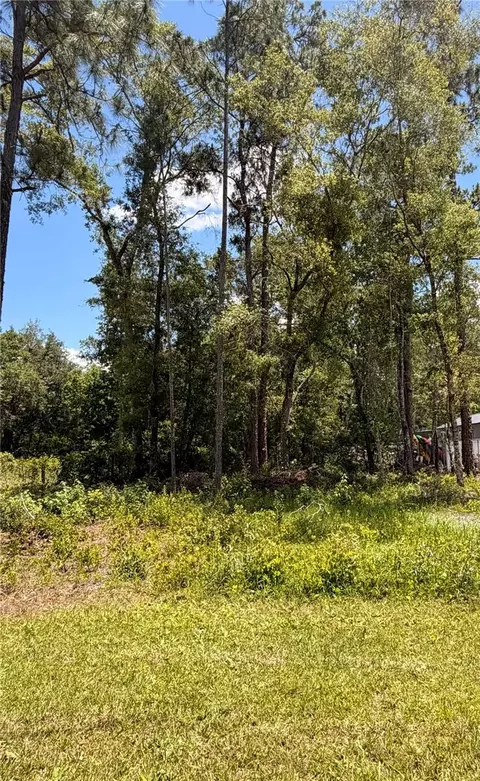 6327 Fig Ave, Webster, FL 33597