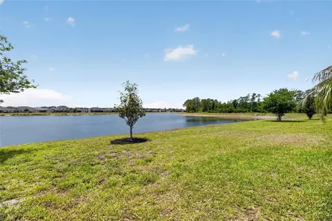 View/Area - 11633 Cambium Crown Dr, Riverview, FL 33569 photo 2 of 4