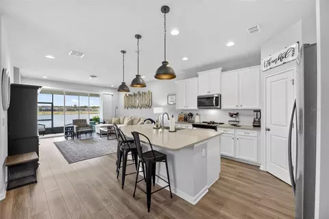 Kitchen - 11633 Cambium Crown Dr, Riverview, FL 33569 photo 1 of 4