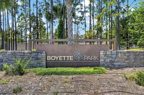 View/Area - 11633 Cambium Crown Dr, Riverview, FL 33569 photo 4 of 4