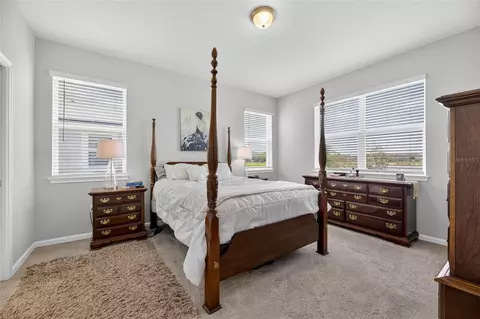 Bedroom - 11633 Cambium Crown Dr, Riverview, FL 33569 photo 3 of 3