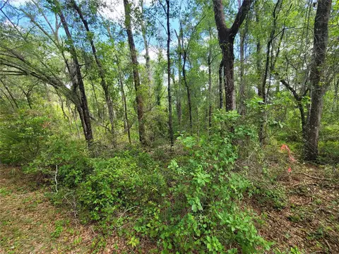 910 Ferncreek Ave, Inverness, FL 34453