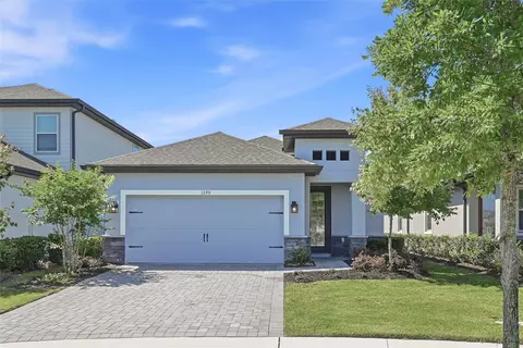 1390 Remick Ct, Kissimmee, FL 34747