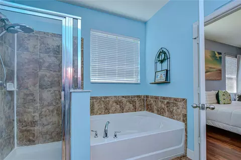 Bath - 10923 Pond Pine Dr, Riverview, FL 33569 photo 2 of 3