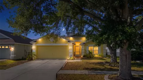Exterior - 10510 Egret Haven Ln, Riverview, FL 33578 photo 12 of 13