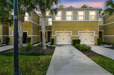 17856 Althea Blue Pl, Lutz, FL 33558