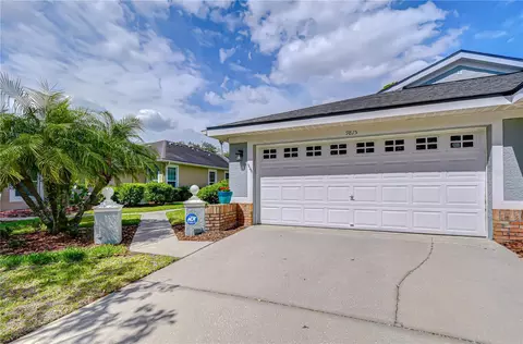 9815 Gingerwood Dr, Tampa, FL 33626