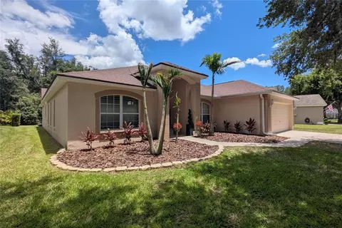 6006 Shearwater Ln, Lithia, FL 33547