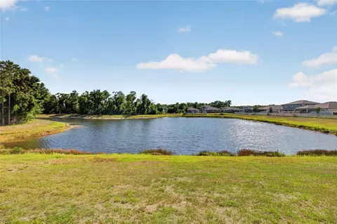 View/Area - 18428 Malinche Loop, Spring Hill, FL 34610 photo 3 of 15
