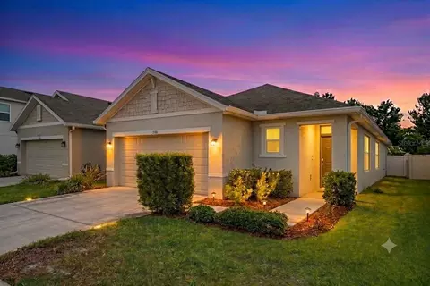 3296 Suncoast Plains Dr, Odessa, FL 33556