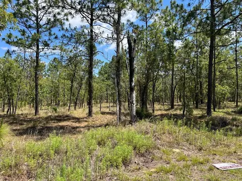 NW Amberjack, Dunnellon, FL 34431
