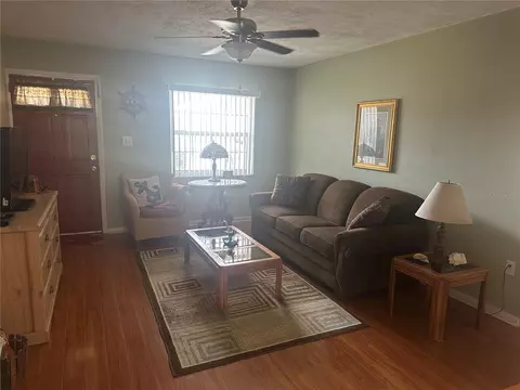 Living - 11815 Washington St, Seffner, FL 33584 photo 1 of 3