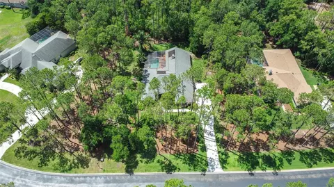 View/Area - 313 Pine Bluff Dr, Lutz, FL 33549 photo 2 of 6