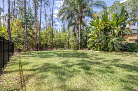 Exterior - 313 Pine Bluff Dr, Lutz, FL 33549 photo 15 of 22