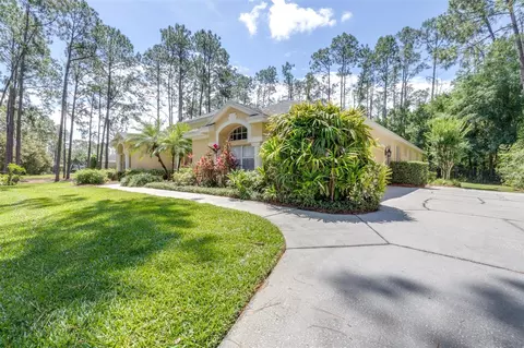 Exterior - 313 Pine Bluff Dr, Lutz, FL 33549 photo 4 of 22