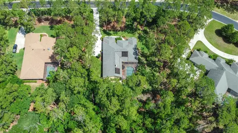 View/Area - 313 Pine Bluff Dr, Lutz, FL 33549 photo 4 of 6