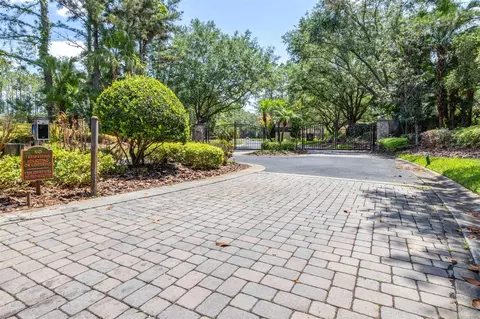 View/Area - 313 Pine Bluff Dr, Lutz, FL 33549 photo 5 of 6