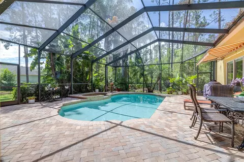 Exterior - 313 Pine Bluff Dr, Lutz, FL 33549 photo 9 of 22