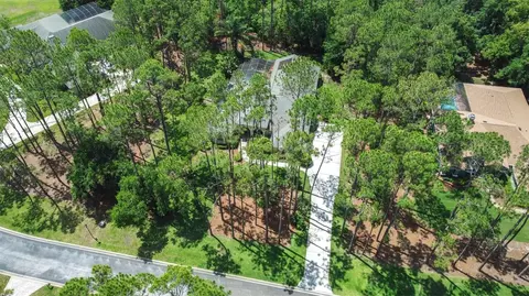 View/Area - 313 Pine Bluff Dr, Lutz, FL 33549 photo 3 of 6